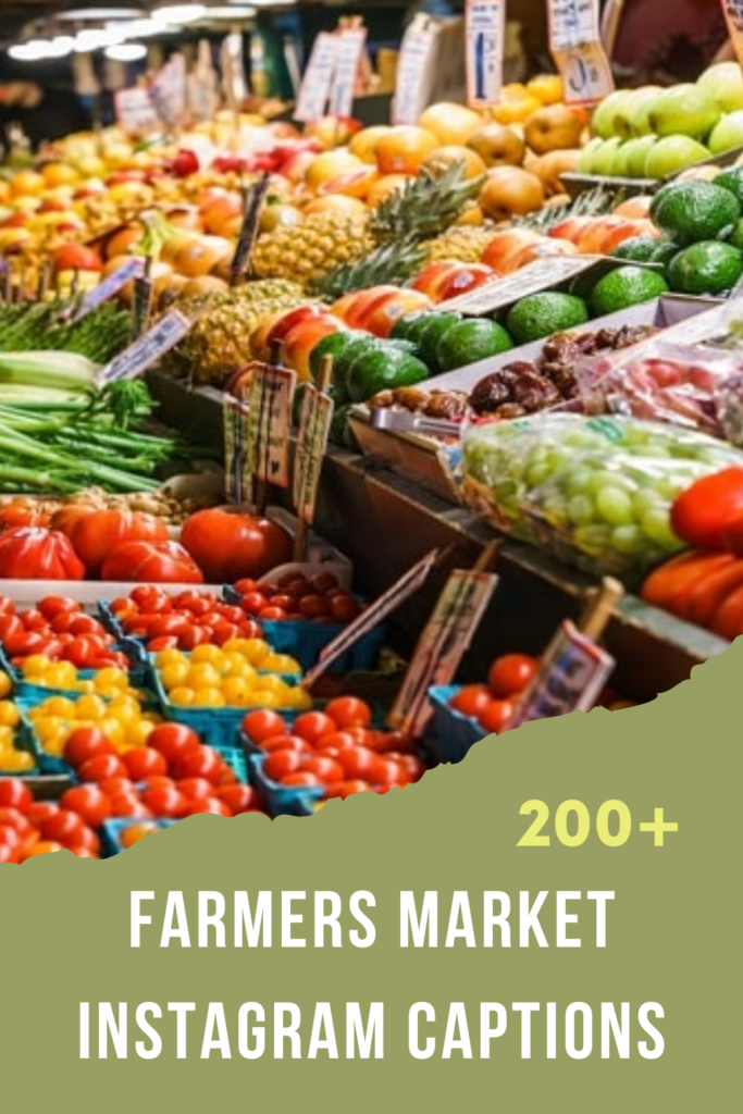 200+ Farmers Market Instagram Captions to Brighten Your Feed 6 Farmers Market Instagram Captions