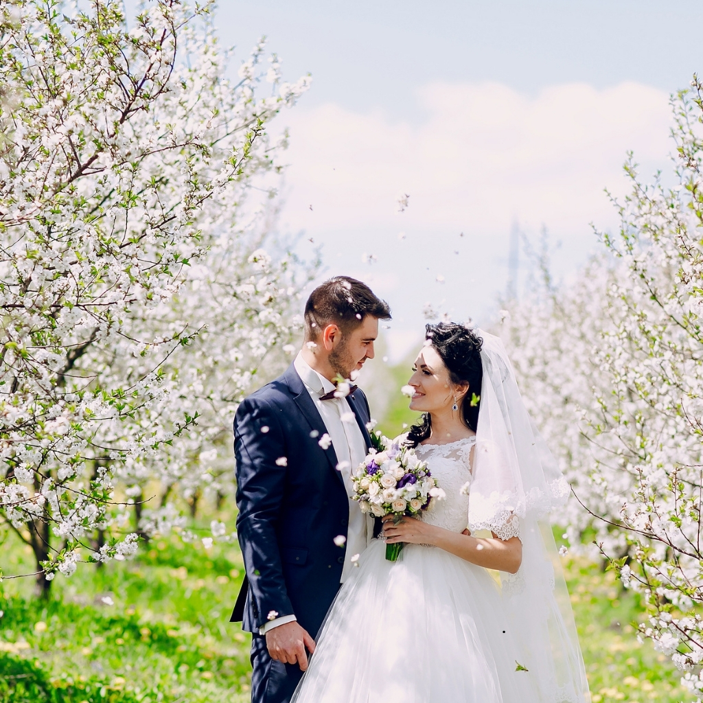 200+ Simple Wedding Captions For Instagram Perfect for Your Special Day 6 Simple Wedding Captions For Instagram