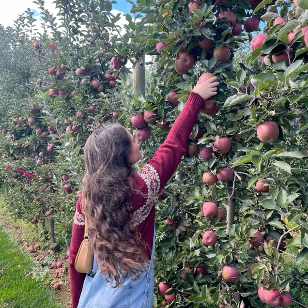 200+ Apple Picking Captions For Instagram to Celebrate Fall and Harvest Season 10 Apple Picking Captions For Instagram