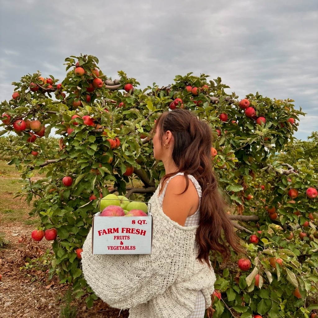 Apple Picking Instagram Captions