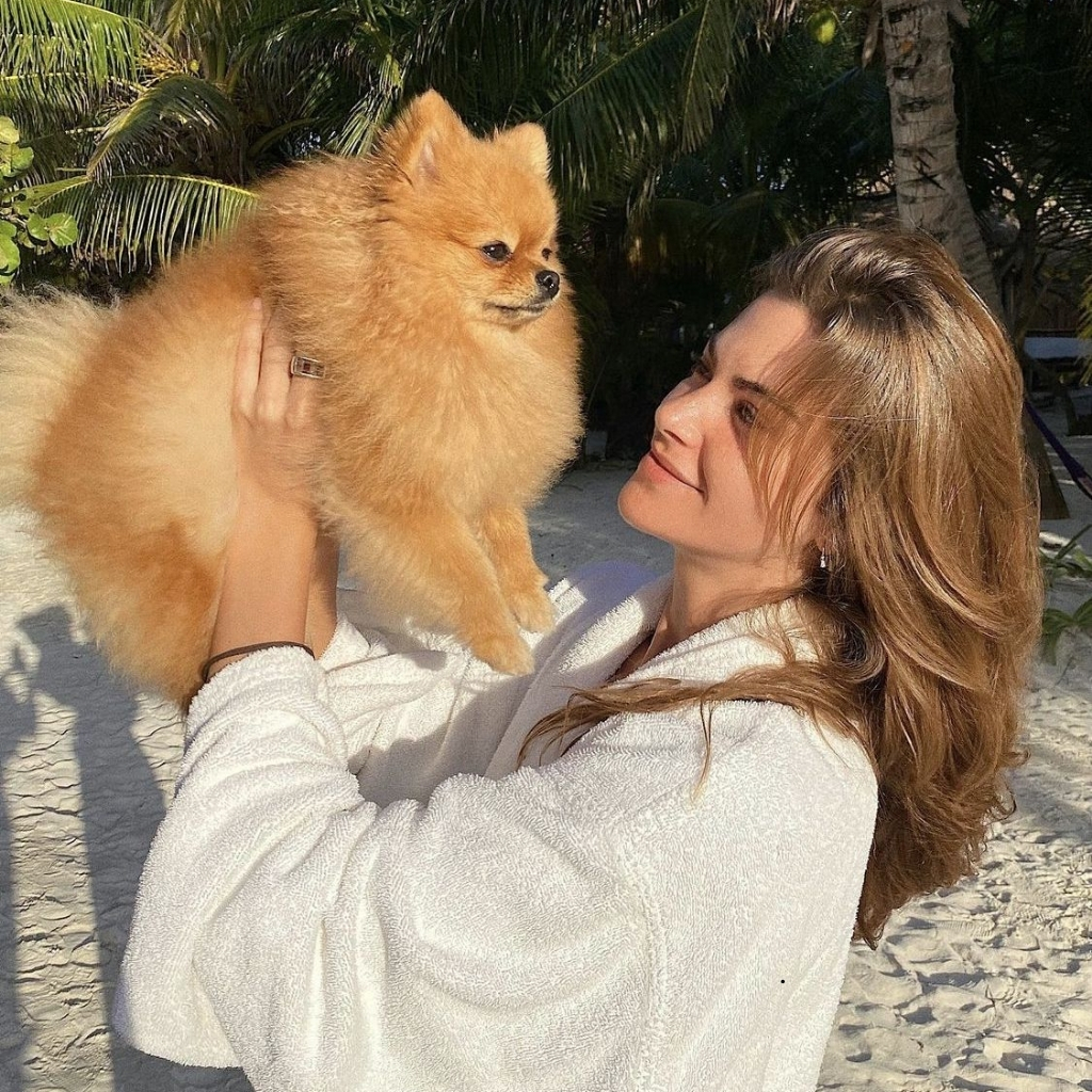 Funny Instagram Captions Dog Captions